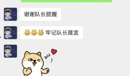 吃瓜视频在线观看免费版 哔哩哔哩,哔哩哔哩带你领略热门视频风采